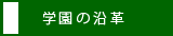 w̉v